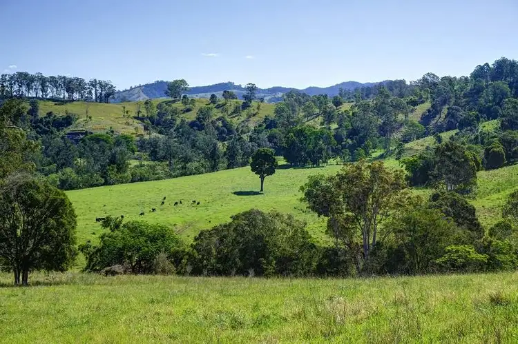 Sixth view of Homely rural property listing, 299 Callaghans Creek Road, Gloucester NSW 2422