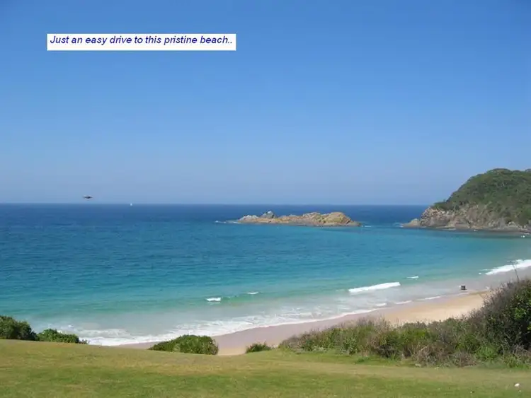 Fifth view of Homely rural property listing, Lot 1 Seal Rocks Road, Bungwahl NSW 2423