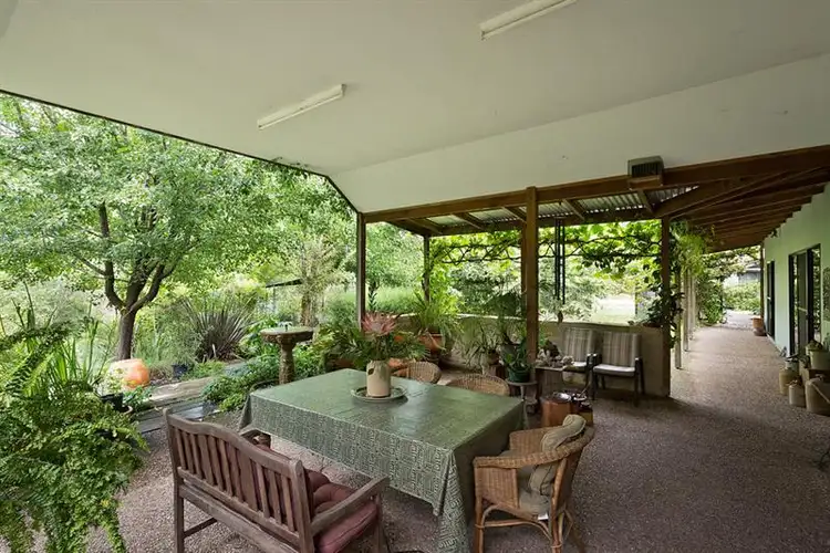 Main view of Homely house listing, 311 Milligandi Rd, Millingandi NSW 2549