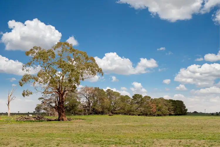 Fifth view of Homely land listing, Lot 12/741 Forest Reefs Road, Forest Reefs NSW 2798