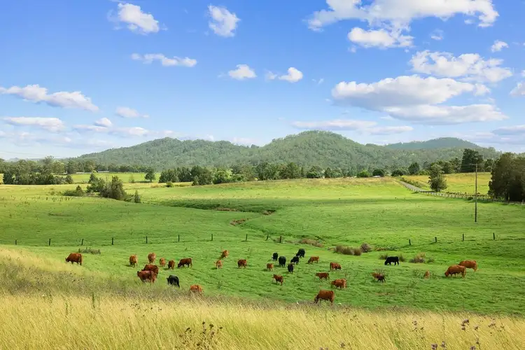 Lot 3 Windermere Road, Lochinvar NSW 2321