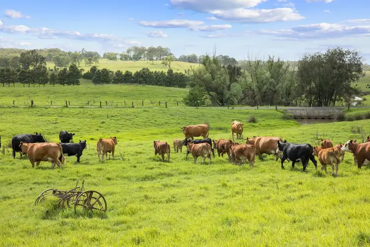 Sixth view of Homely rural property listing, Lot 3 Windermere Road, Lochinvar NSW 2321