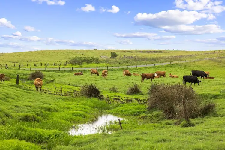 Seventh view of Homely rural property listing, Lot 3 Windermere Road, Lochinvar NSW 2321