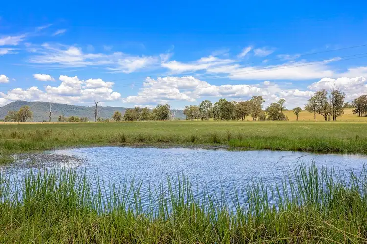 Sixth view of Homely rural property listing, 37 Flying Fox Lane, Vacy NSW 2421