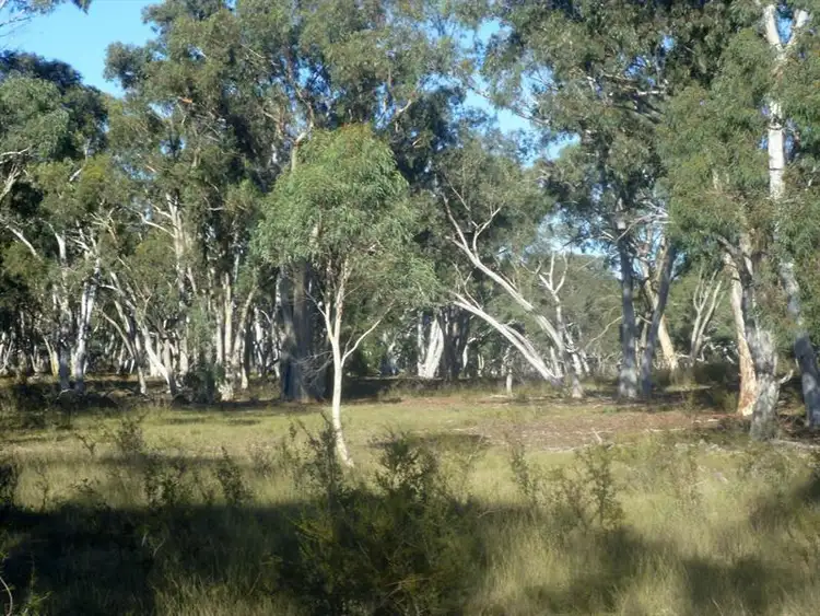 Seventh view of Homely rural property listing, Lot 8 Sandy Point Rd, Windellama NSW 2580