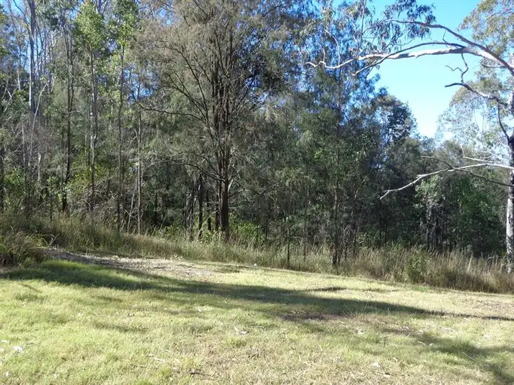 Fifth view of Homely rural property listing, 1505 Paddys Flat Rd, Tabulam NSW 2469