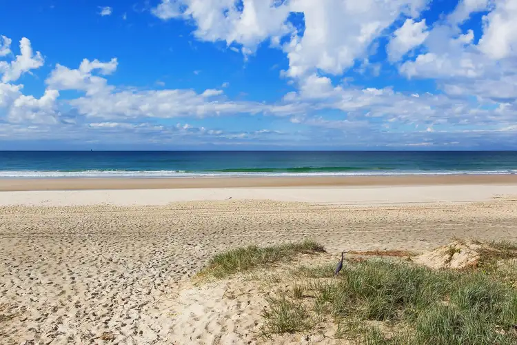 Third view of Homely unit listing, 8/4 Allara Avenue, Palm Beach QLD 4221