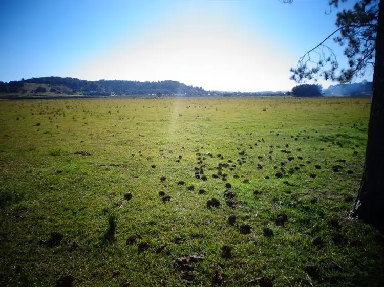 Second view of Homely rural property listing, 143 Skyline Rd, Monaltrie NSW 2480