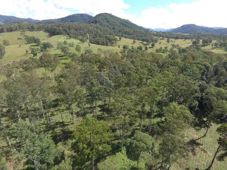 Sixth view of Homely rural property listing, Lot 3 Craven Creek Rd, Gloucester NSW 2422