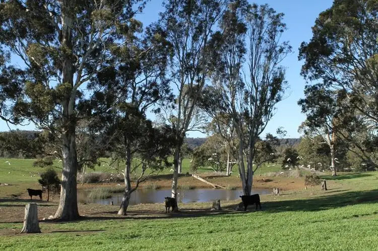 Seventh view of Homely rural property listing, 663 Caoura Rd, Tallong NSW 2579