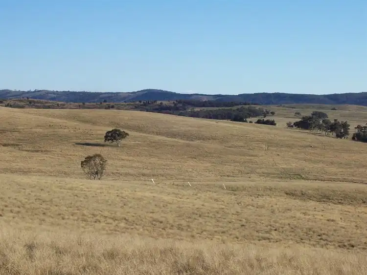 Fourth view of Homely rural property listing, 116 Lakeview Rd, Tarago NSW 2580