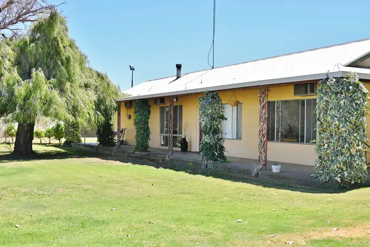 399 Virgo Road, Waikerie SA 5330