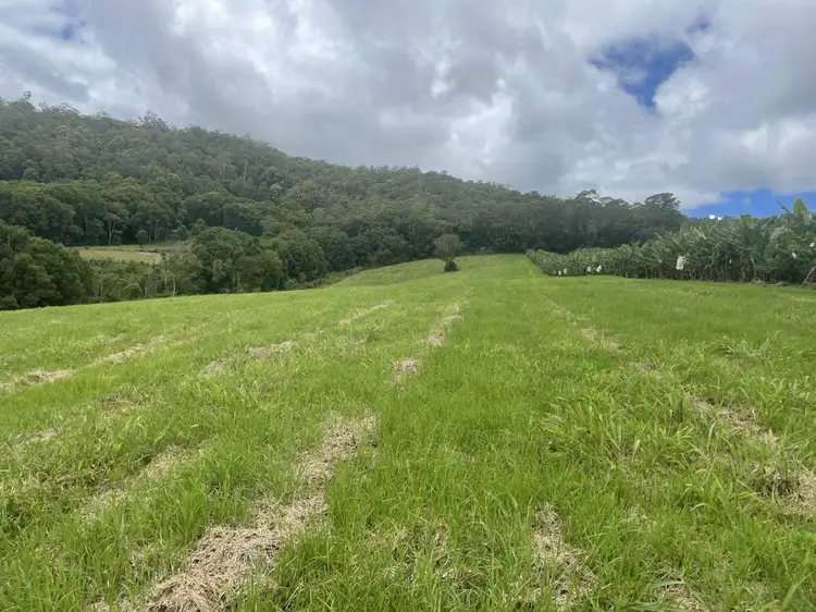 Third view of Homely rural property listing, 714 Whian Whian Road, Whian Whian NSW 2480