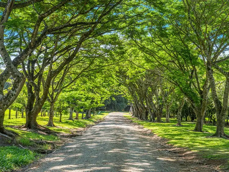 Second view of Homely rural property listing, 493 Friday Hut Road, Brooklet NSW 2479