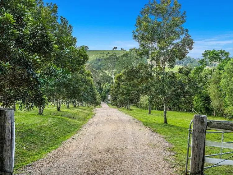 Third view of Homely rural property listing, 84 Dudgeons Lane, Bangalow NSW 2479