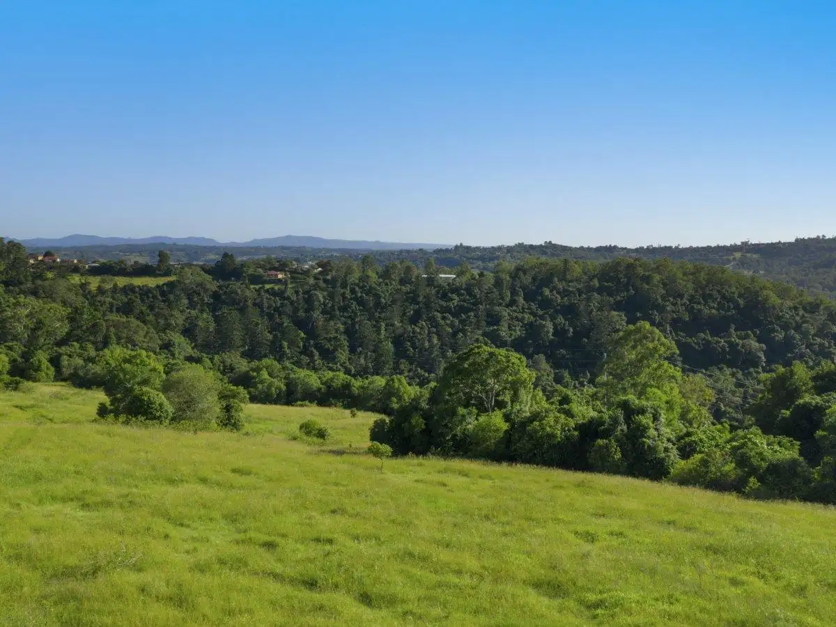 Main view of Homely land listing, 245 Wyrallah Road, Monaltrie NSW 2480