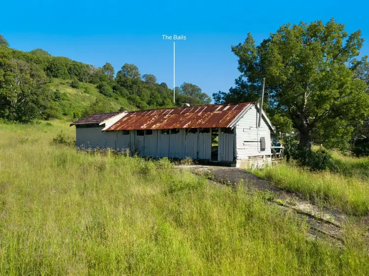Sixth view of Homely land listing, 245 Wyrallah Road, Monaltrie NSW 2480