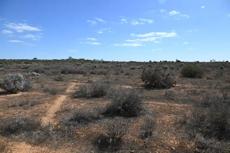 Second view of Homely land listing, 310 Ring Road, Morgan SA 5320