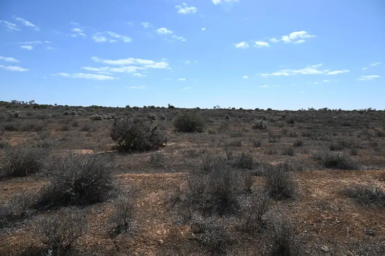 Third view of Homely land listing, 310 Ring Road, Morgan SA 5320