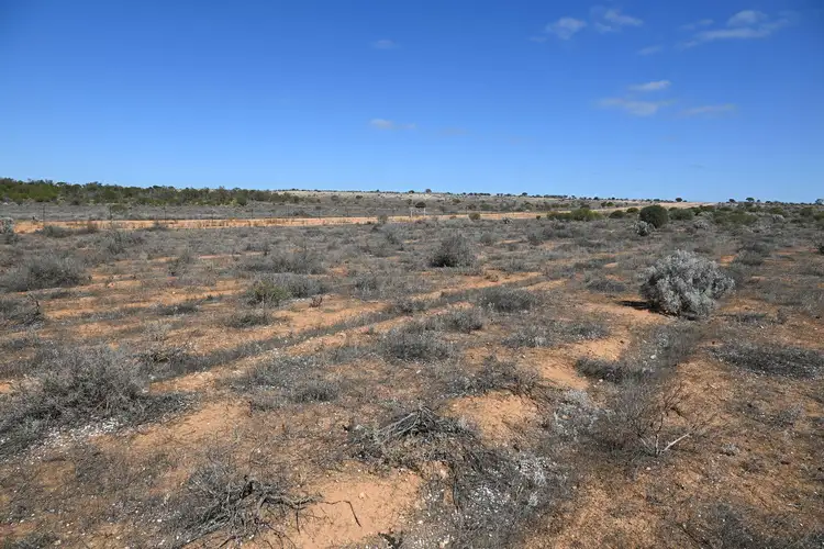 Fifth view of Homely land listing, 310 Ring Road, Morgan SA 5320