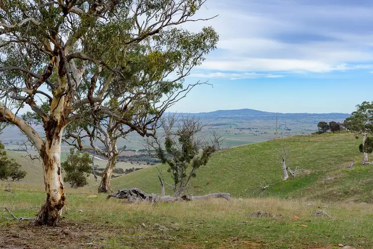 Main view of Homely rural property listing, Lot 11 Steep Hill Road, Rockleigh SA 5254