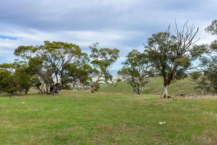 Third view of Homely rural property listing, Lot 11 Steep Hill Road, Rockleigh SA 5254