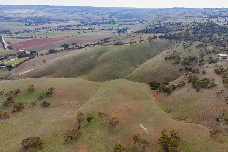Fifth view of Homely rural property listing, Lot 11 Steep Hill Road, Rockleigh SA 5254