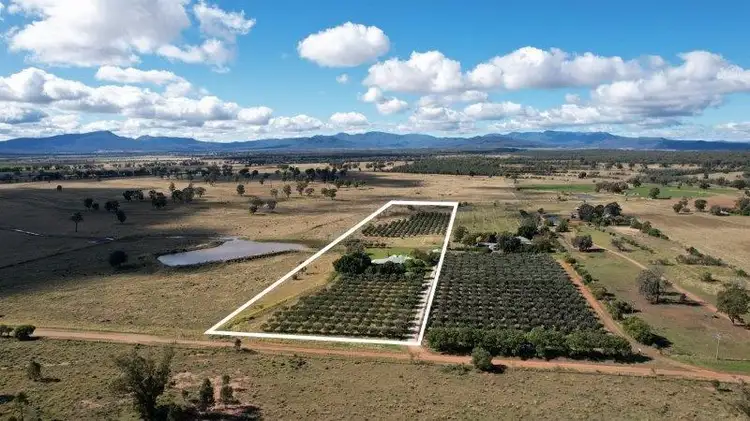 Third view of Homely rural property listing, 538 Murrumbilla Lane, Narrabri NSW 2390