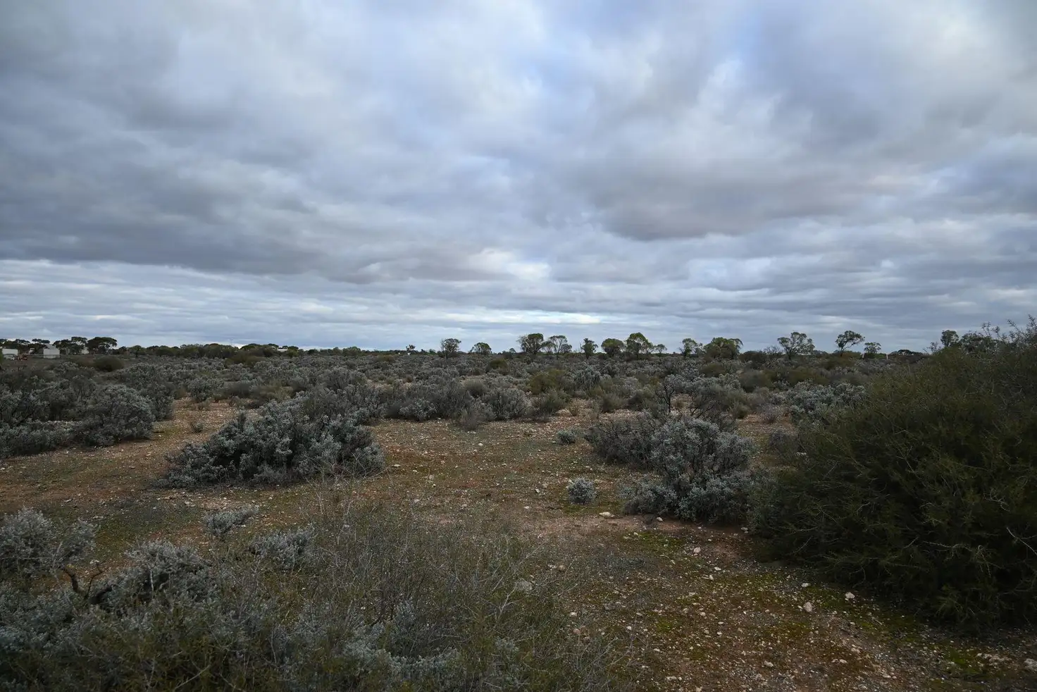 Main view of Homely land listing, 5-9,13 South Terrace, Blanchetown SA 5357