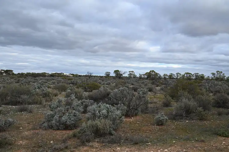 Second view of Homely land listing, 5-9,13 South Terrace, Blanchetown SA 5357