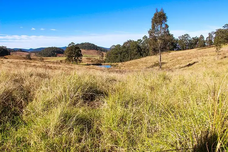 Sixth view of Homely rural property listing, Lot 9 Andersons Creek Road, Wards River NSW 2422