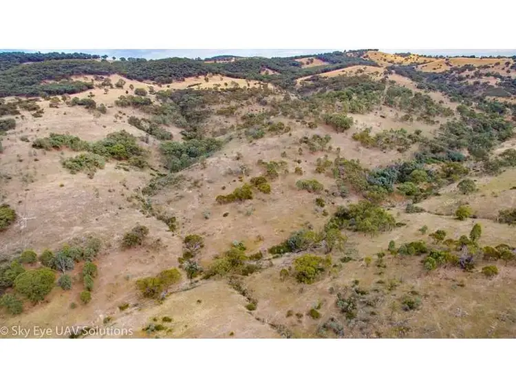 Main view of Homely rural property listing, 3169 Limekilns Road, Limekilns NSW 2795