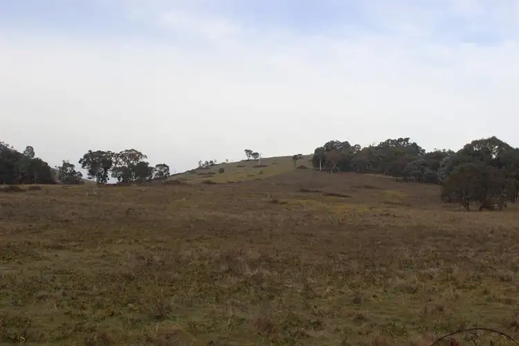 Fourth view of Homely rural property listing, 1848 Ophir Road, Rock Forest NSW 2795