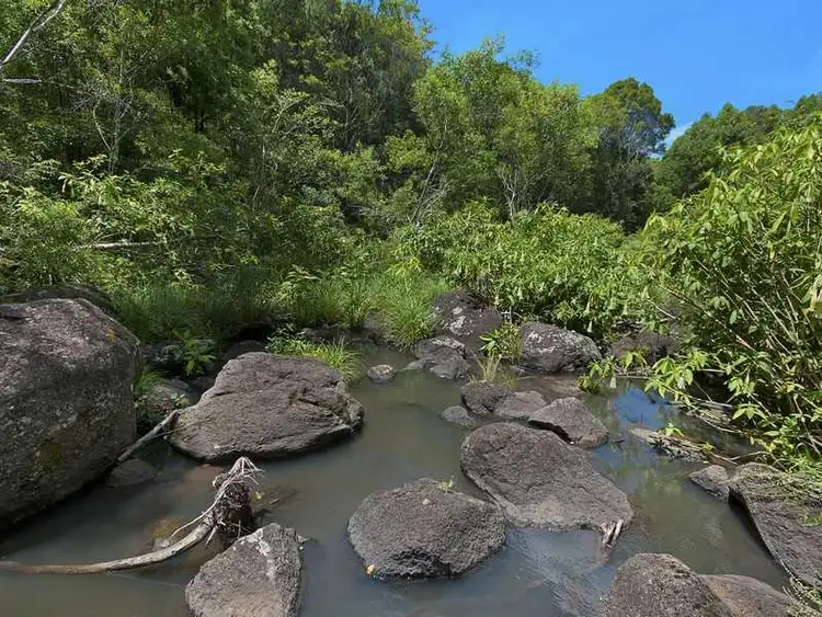 Second view of Homely rural property listing, 92 Repentance Creek Road, Goonengerry NSW 2482