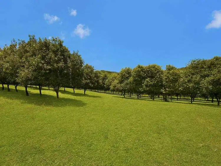 Fourth view of Homely rural property listing, 92 Repentance Creek Road, Goonengerry NSW 2482
