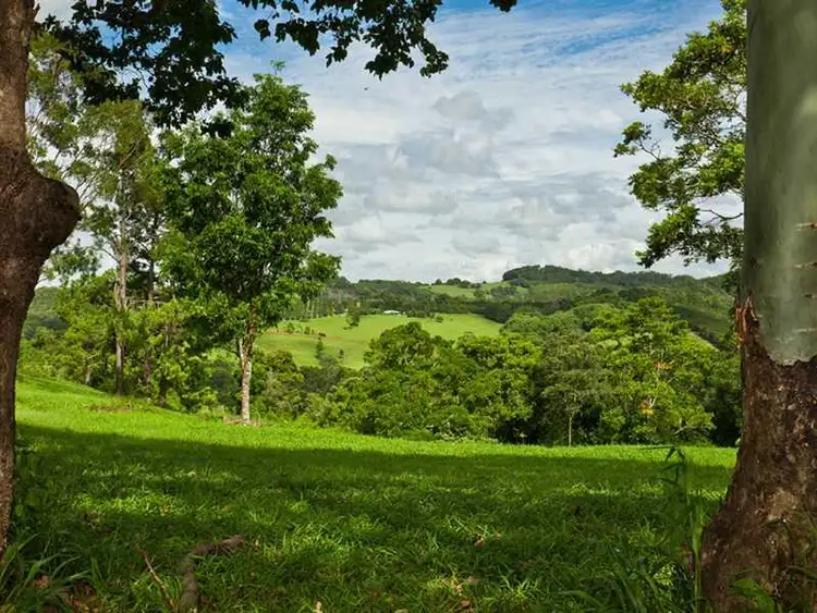 Third view of Homely rural property listing, 2466 Dunoon Road, Rosebank NSW 2480