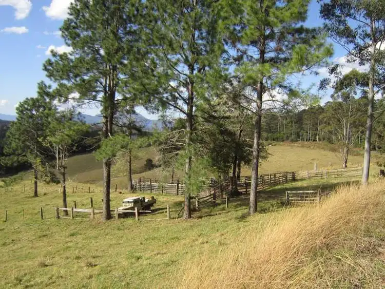 Sixth view of Homely rural property listing, 4012 Kyogle Road, Mount Burrell NSW 2484
