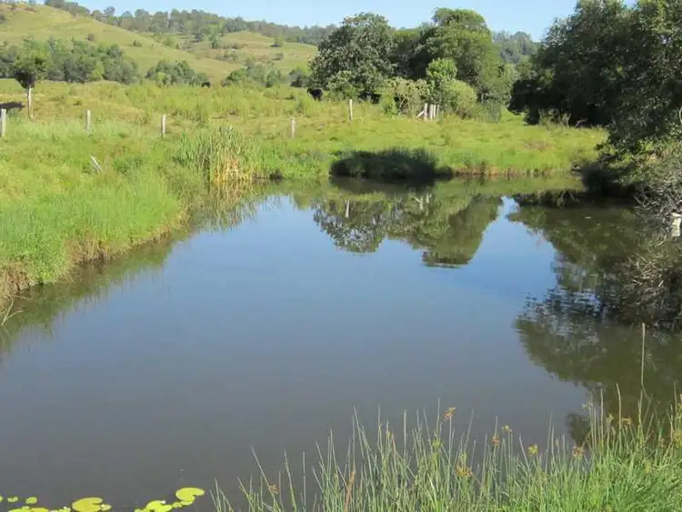 Seventh view of Homely rural property listing, 112 Cross Road, Numulgi NSW 2480