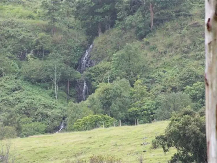 Second view of Homely rural property listing, 99 Anderson Road, Nimbin NSW 2480
