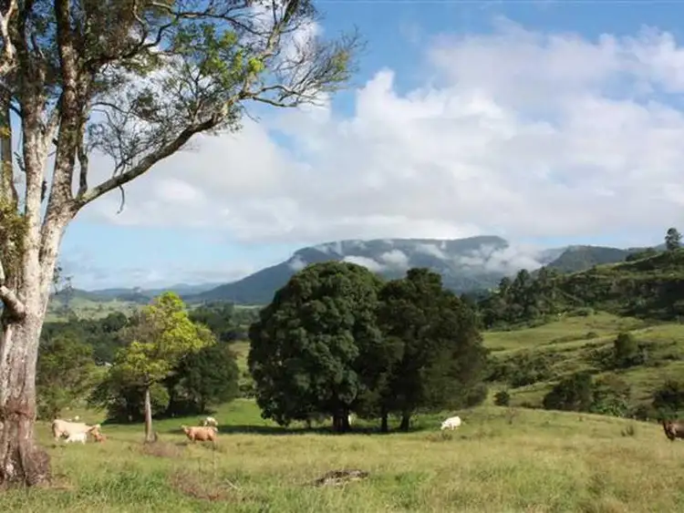 Fifth view of Homely rural property listing, 99 Anderson Road, Nimbin NSW 2480