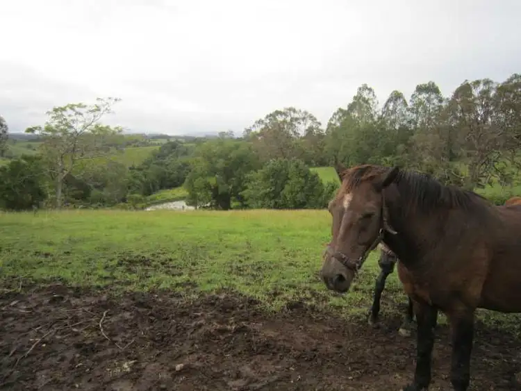 Fourth view of Homely rural property listing, 191 Duncan Road, Numulgi NSW 2480