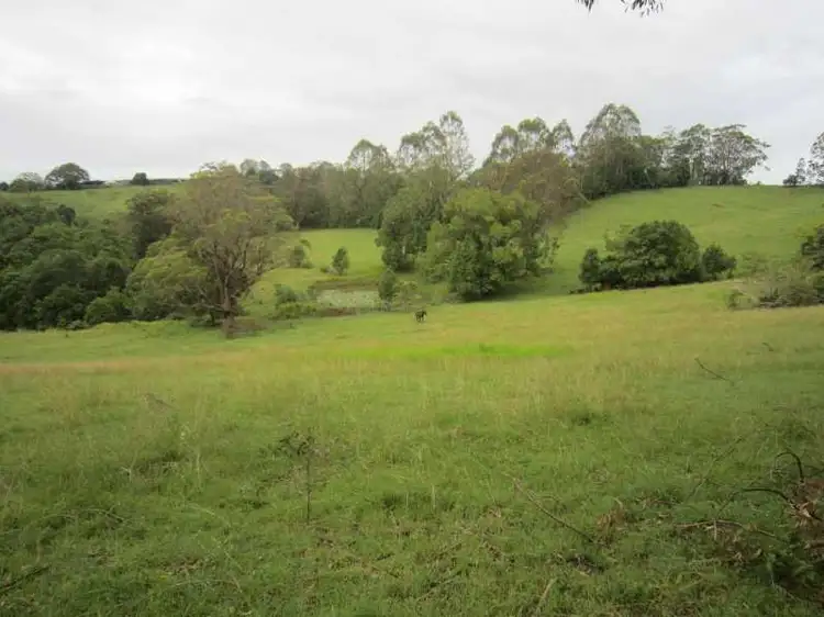 Fifth view of Homely rural property listing, 191 Duncan Road, Numulgi NSW 2480