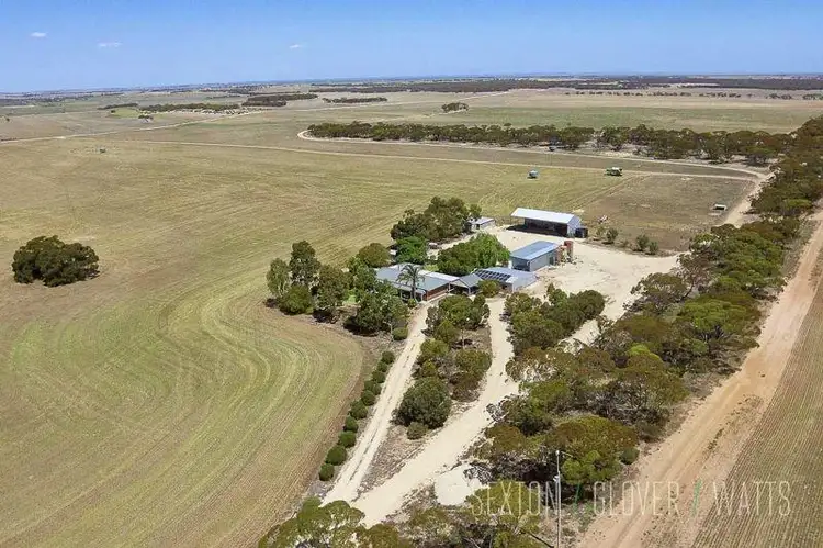 Main view of Homely rural property listing, 1674 Chaunceys Line Road, Brinkley SA 5253