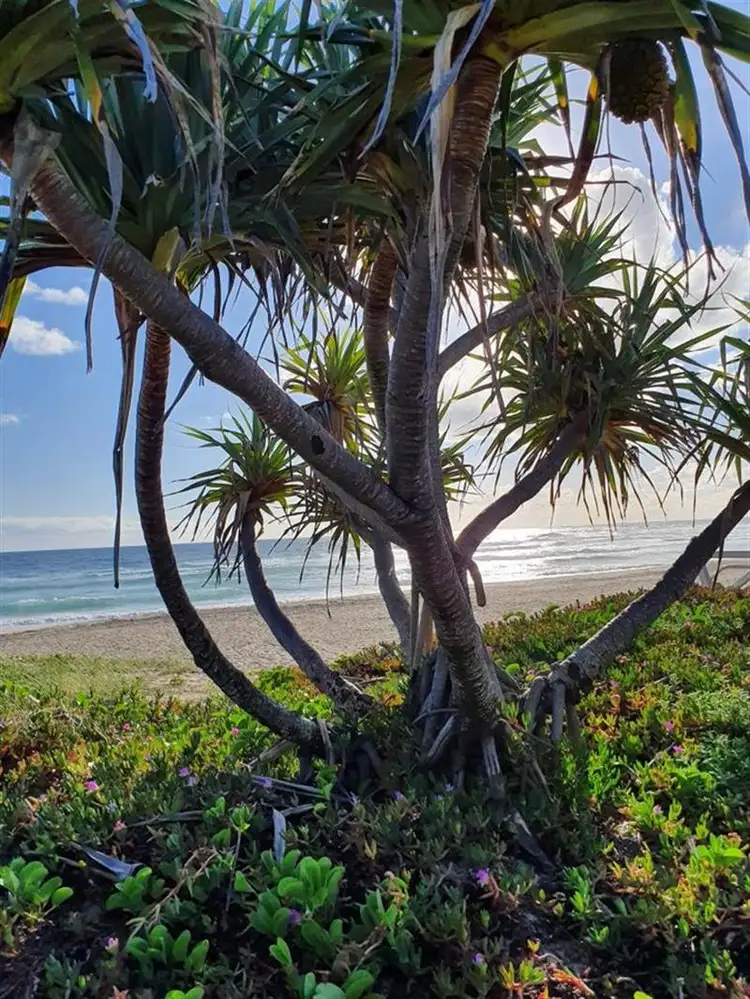 Seventh view of Homely land listing, 22 Carrs Drive, Yamba NSW 2464