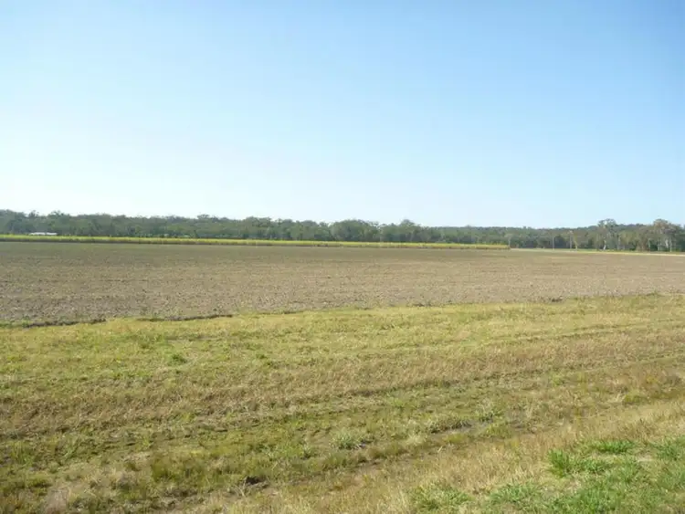 Second view of Homely rural property listing, 81 Lewis Lane, Mororo NSW 2469