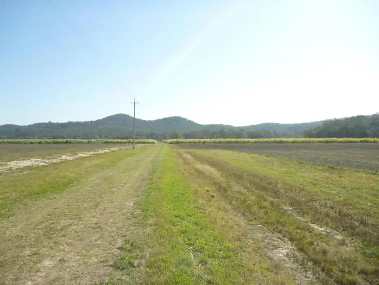 Third view of Homely rural property listing, 81 Lewis Lane, Mororo NSW 2469