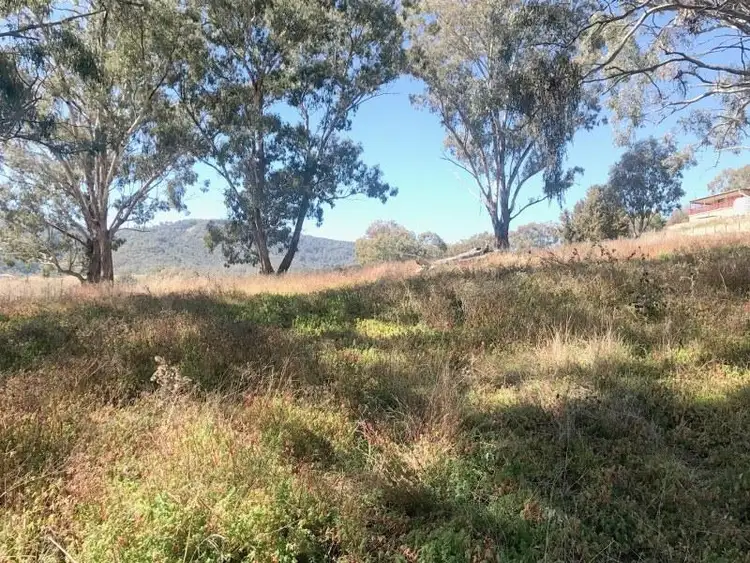 Fifth view of Homely land listing, 76 Gill Street, Nundle NSW 2340