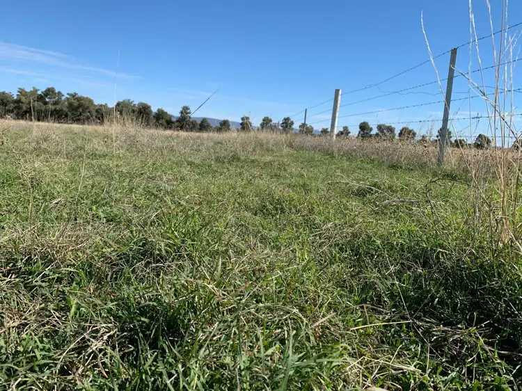 Sixth view of Homely rural property listing, 75 Glenara Lane, Tamworth NSW 2340