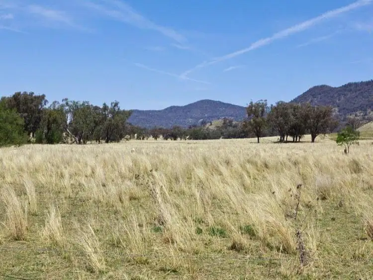 Third view of Homely rural property listing, 4 Drains Lane, Gowrie NSW 2340