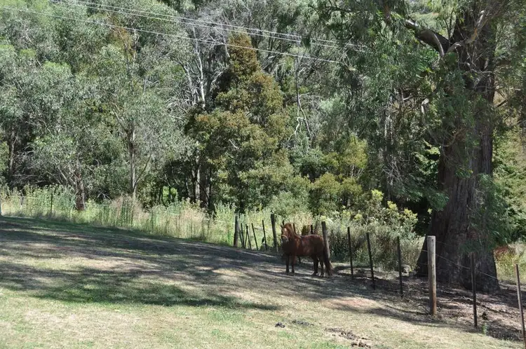 Third view of Homely house listing, 2 Wakehurst Avenue, Batlow NSW 2730